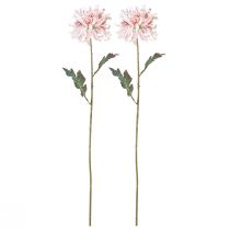 Artikel Künstliche Chrysanthemen Rosa Mauve Ø13cm L72cm 2St