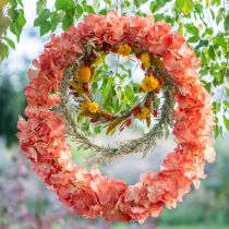 Artikel Künstliche Hortensie Gigant Dekoblume Lachs Ø23cm L84cm