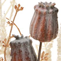 Artikel Mohnkapseln Deko Trockenblumen künstlich Farn Creme 63cm