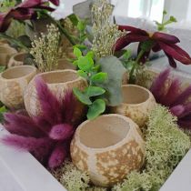 Artikel Kürbis Deko Bell Cup Pumpkin Cup gebleicht 50 St