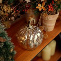 Artikel Kürbis Deko Glas Glaskürbis Tischdeko Orange Ø14cm H18cm