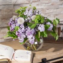 Artikel Kugelvase Glas Vase klar Runde Tischvase Blumenvase Ø15,5cm H12,5cm