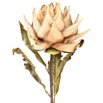 Artikel Kunstpflanze Artischocke Creme Dry Look Ø15cm 73cm