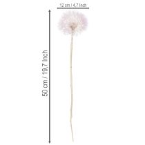 Artikel Riesen Pusteblumen Deko Trockenblumen für moderne Inneneinrichtung 12cm 4St