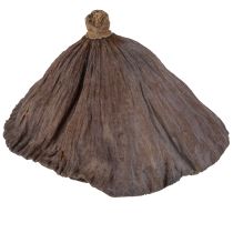 Artikel Lotos Kolben klein 100 St. Natur