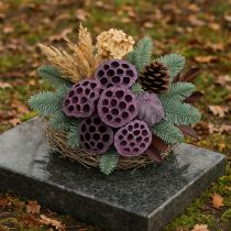 Artikel Lotos Kapseln, Trockenfloristik, Lotuskolben Rosa, Weiß gewaschen 50 St