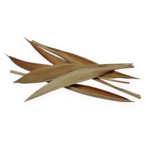 Artikel Kokosschale mini Natur 0,5 kg