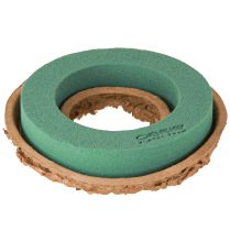 Artikel OASIS® Biolit® Ring/Kranz 17cm 6 St