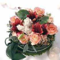 Artikel OASIS® Junior Complet 12 St