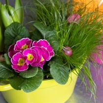 Artikel Pflanzschale Blech Frühlingsdekoration im Wohnzimmer 25cm 3St