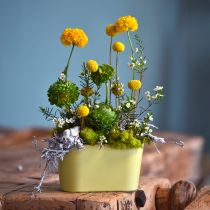 Artikel Pflanzschale oval Gelb Dekoschale Kunststoff 20×10×11cm 3St