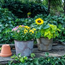 Artikel Pflanztopf, Herbstdeko, Metallgefäß mit Blättern Golden Ø25,5cm H22cm