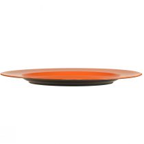 Artikel Plastikteller in Orange – 28 cm – Ideal für Partys und Dekoration – 4St