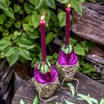 Artikel Stabkerzen durchgefärbt Burgund 21×240mm 12 St