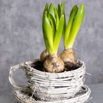 Artikel Teetasse Naturmaterial mit rustikalem Charme für exklusive Indoor Dekoration 13cm