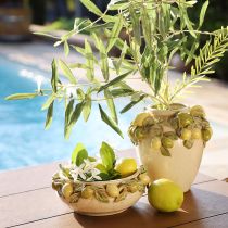 Artikel Keramik-Schale mit Zitronen – Mediterrane Deko-Schale für Tisch & Küche Ø21,5cm H8,5cm