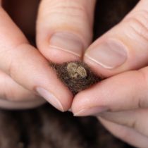 Artikel Flausch Mirabell Wollkordel Braun 25m Dekoband Floristik Basteln