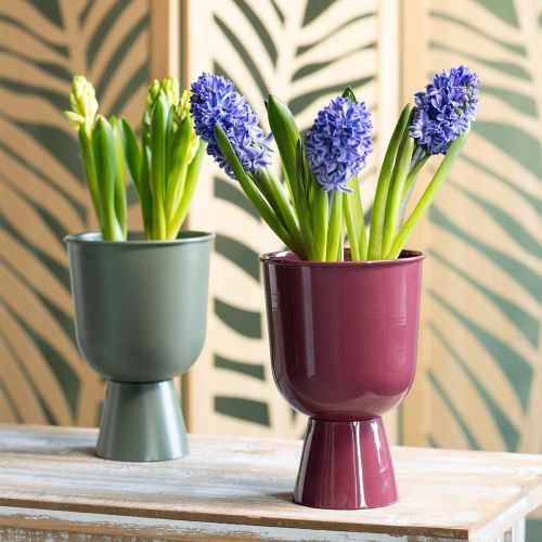 Artikel Blumentopf Pokal moderner Stil für jedes Zuhause und Büro dekorativ 23cm