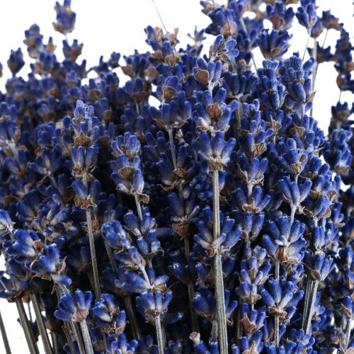 Artikel Getrockneter Lavendel Deko Trockenblumen 25cm 350g 5St