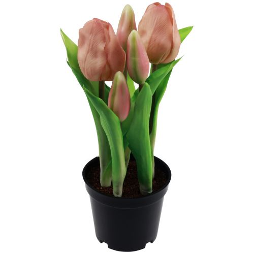 Artikel Künstliche Tulpen im Topf Tulpen Peach Kunstblumen 22cm