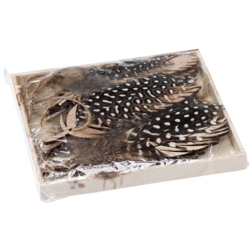 Artikel Deko Federn Anhänger Holz Naturfeder 9,5/10cm 9 St