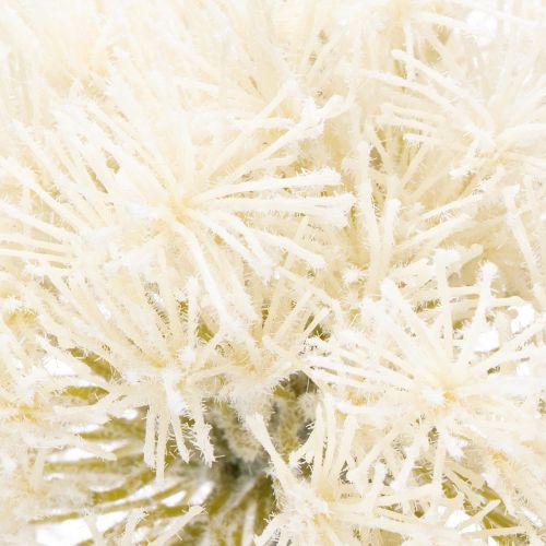 Artikel Allium Kunstblume zierliche Gestaltung für den Innenbereich 68cm