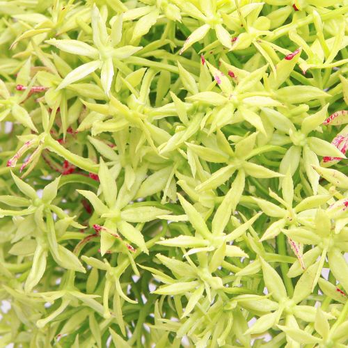 Artikel Allium grüne Blüte Künstlicher Zierlauch Ø18cm 90cm