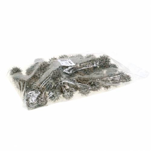 Artikel Amberbaum Zapfen Natur weiß gewaschen 250g