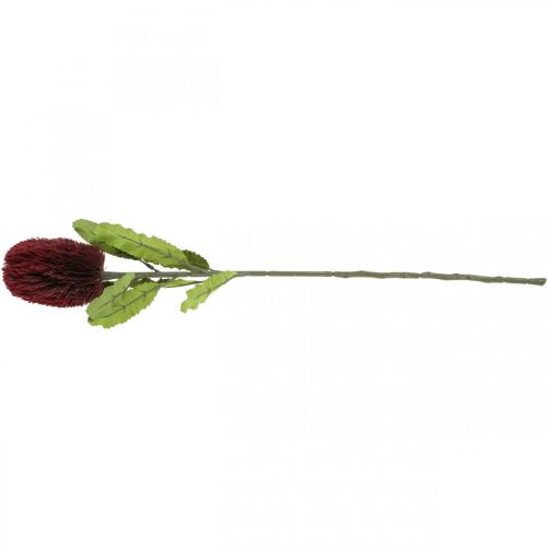 Artikel Kunstblume Banksia Rot Burgund Künstliche Exoten 64cm