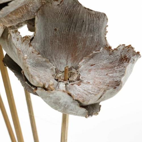 Artikel Palm Cup am Stiel weiß gewaschen 25 St.