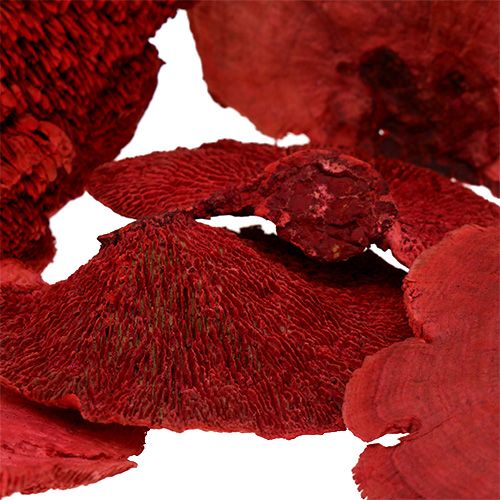 Baumschwamm Rot 1kg | Floristik24.de