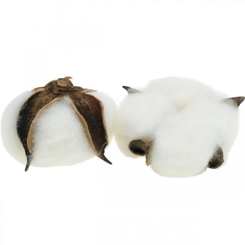 Artikel Baumwollblüte Deko Getrocknete Baumwolle Naturdeko Ø6cm 12 St