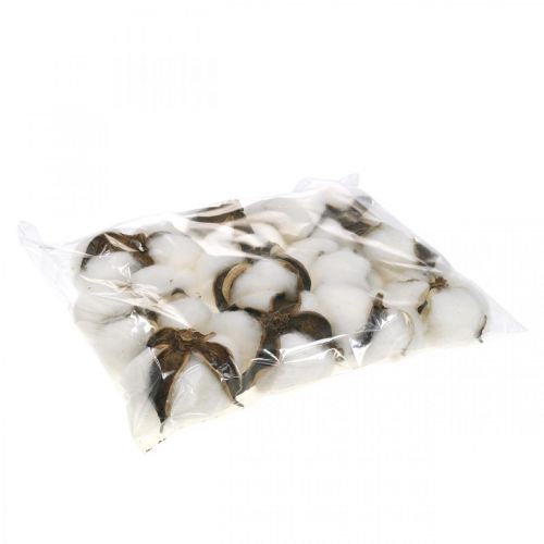 Artikel Baumwollblüte Deko Getrocknete Baumwolle Naturdeko Ø6cm 12 St