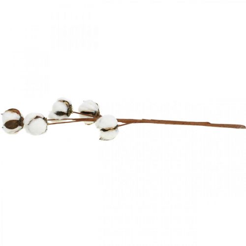 Artikel Baumwollzweig Deko Echte Baumwolle Dekozweig 5 Köpfe 50cm