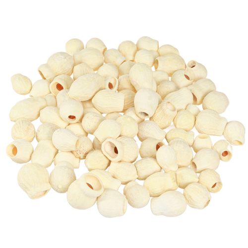 Artikel Bellgum getrocknet Glockenfrucht gebleicht 2,5-3,5cm 500g