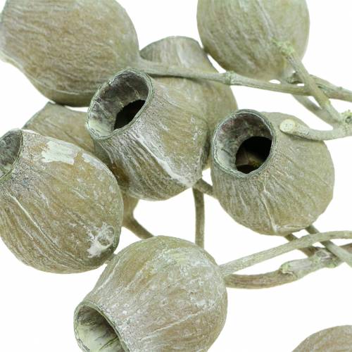 Artikel Bellgum Zweig 5cm - 7cm Grün gefrostet 20 St