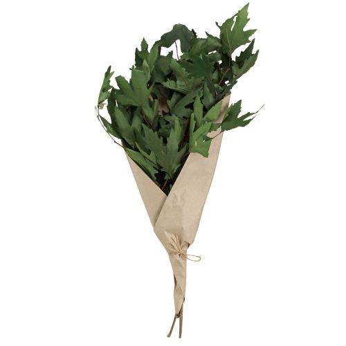 Artikel Bergahornzweige Blätter Deko Ahornblätter Grün 50-60cm 100g