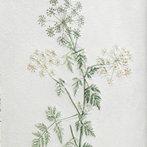 Artikel Vintage Wanddeko, Bild mit Rahmen Holz Getrocknete Pflanze 40×50cm