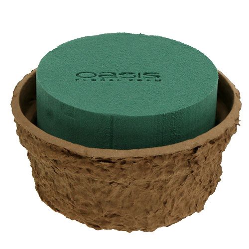 Floristik24 Nass Steckschaum Schale für Blumen Gestecke Ø18cm 2 St