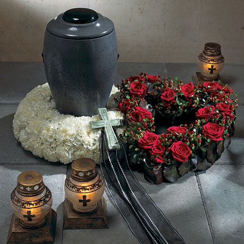 Artikel OASIS® Biolit® Ring/Kranz 17cm 6 St