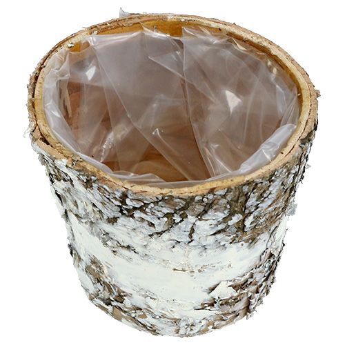 Artikel Birkentopf mini Weiß Pflanztopf Übertopf Ø7cm H7cm 10St