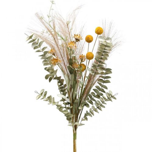 Floristik24 Kunstblumen Craspedia Federgras Eukalyptus 55cm Bund