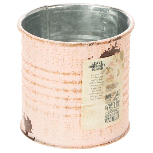 Blumentopf Deko Dose Lachs Metall Kräuterdose Ø8cm H7,5cm | Floristik24.de