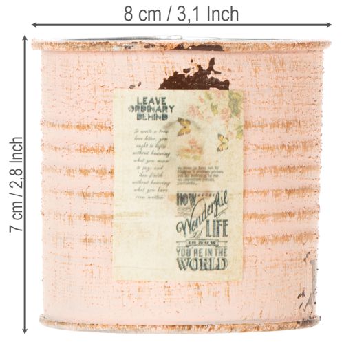Artikel Blumentopf Deko Dose Lachs Metall Kräuterdose Ø8cm H7,5cm