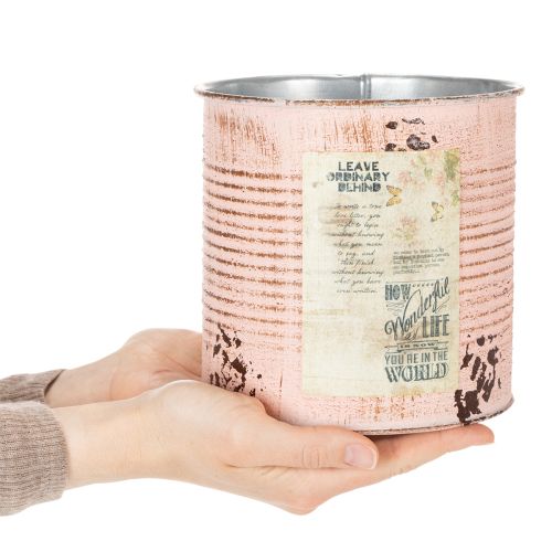 Artikel Blumentopf Deko Dose Lachs Metall Pflanzeimer Ø15,5cm H15cm