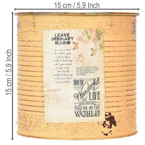 Artikel Blumentopf Vintage Design Dose für Wohnzimmer und Büro Dekoration 15cm 3St