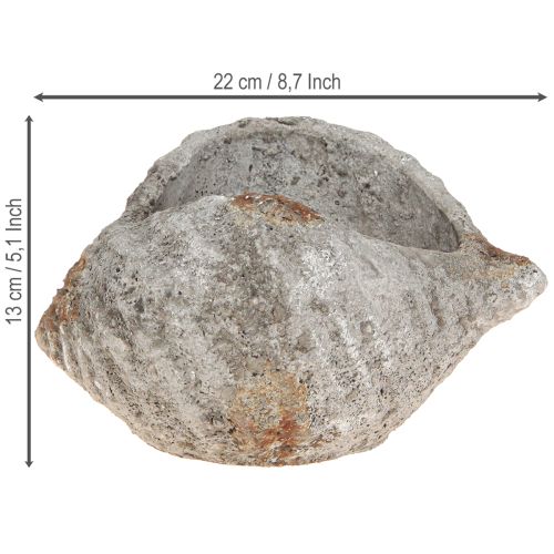 Artikel Blumentopf Muschel Stein Antik Grau Maritim 22×18×13cm
