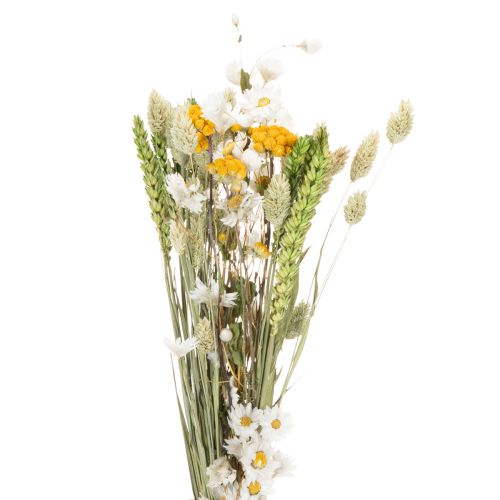 Trockenblumenstrauß eleganter Trockenstrauß für Wohnzimmer 50cm