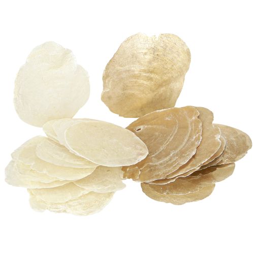 Artikel Capiz Scheiben in Natur Gold Muschel Schalen 60 St