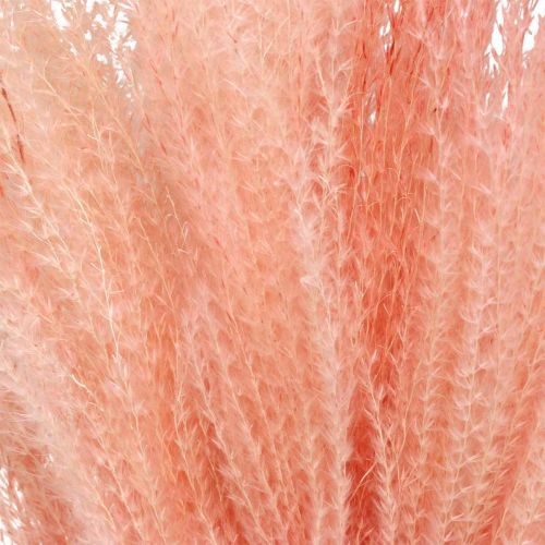 Artikel Chinaschilf Hellrosa Trockengräser Miscanthus H75cm 10 St